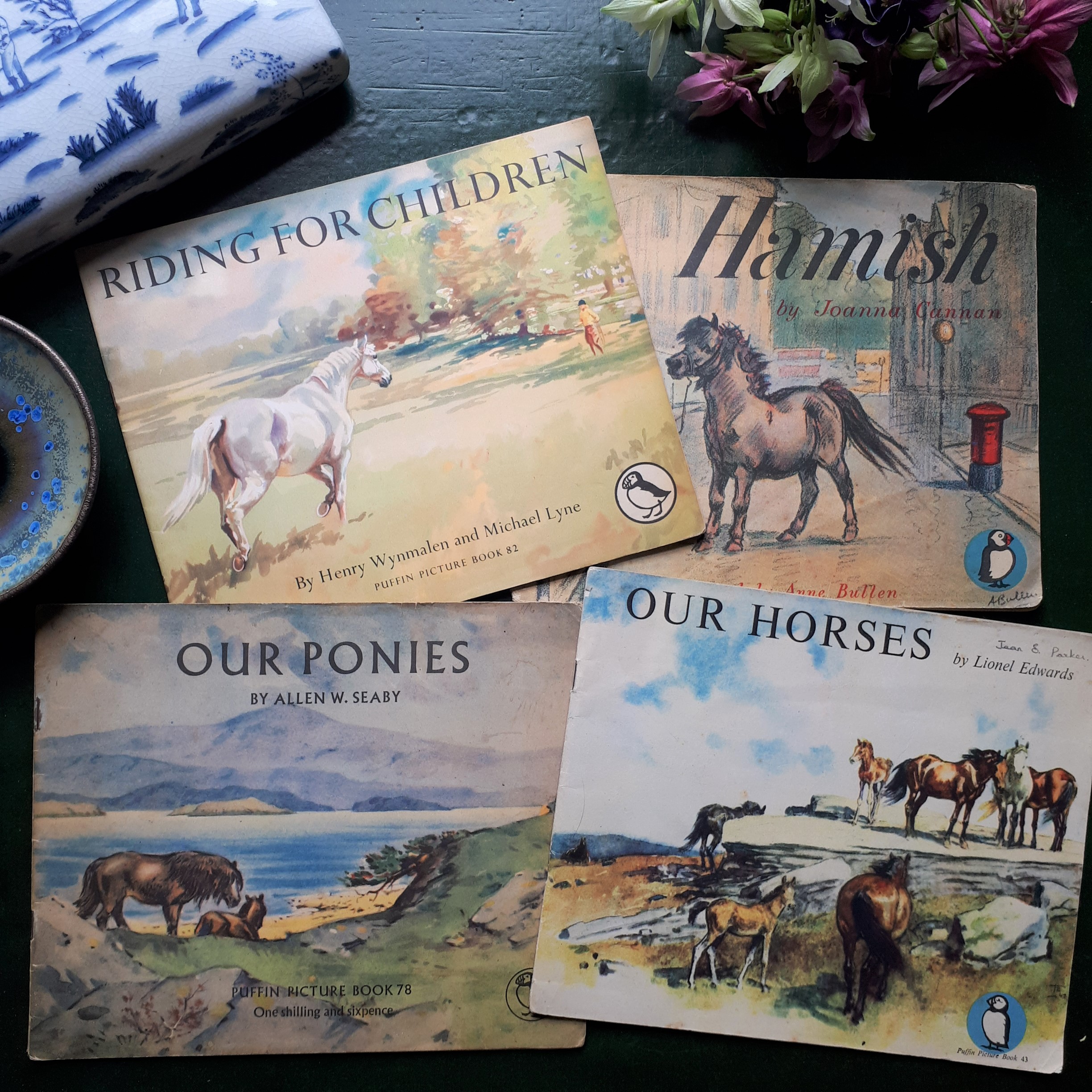 Pony book cover quiz (2025)