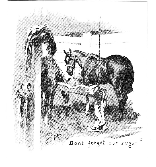 Broncho: one of the most outstanding horses jumping at Olympia between the two world wars