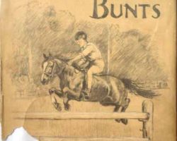 The Ponies if Bunts