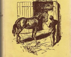 Mary Treadgold (1910–2005) Jonathan Cape, 1941, illus Stuart Tresilian