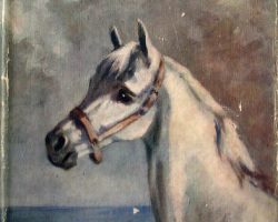 Monica Edwards (1912–1998) Collins, 1947, illus Anne Bullen