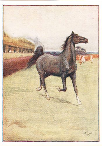 Cecil Aldin, Jarrolds, undated